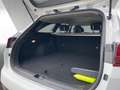 Kia Ceed SW / cee'd SW Sportswagon Vision 1.0 T-GDI Kamera SitzHzg. Weiß - thumbnail 12