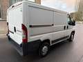 Fiat Ducato H1 2.0 115 Frigorifique de 2014/08 avec 109000 km! - thumbnail 4