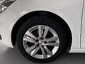 Peugeot 308 SW Active Pack BlueHDi 130 S&S Blanco - thumbnail 16