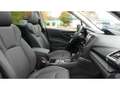 Subaru Forester Platinum 2.0ie Mild-Hybrid Navi Schiebedach Leder Green - thumbnail 29