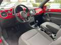 Volkswagen Beetle Cabriolet 1.4 TSI 160pk Sport, Nav, PDC, Stoelverw Rood - thumbnail 17