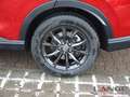 Honda CR-V 2.0 i-MMD HYBRID Elegance AWD Allrad El. Panodach Rot - thumbnail 7