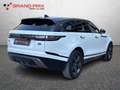 Land Rover Range Rover Velar 2.0D I4 180 CV R-Dynamic S Bianco - thumbnail 8