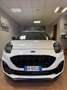 Ford Puma Puma ST gold edition, NUOVA, GARANZIA FORD 18 MESI Wit - thumbnail 6