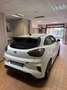 Ford Puma Puma ST gold edition, NUOVA, GARANZIA FORD 18 MESI Wit - thumbnail 4