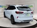 Ford Kuga ST-Line X Plug-In Hybrid ST-Line X Blanc - thumbnail 6