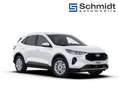 Ford Kuga Titanium 2,5L Duratec FHEV 180PS A FWD Weiß - thumbnail 8