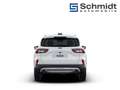 Ford Kuga Titanium 2,5L Duratec FHEV 180PS A FWD Weiß - thumbnail 4