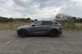 Alfa Romeo Stelvio 2.9 Bi-Turbo Q4 Quadrifoglio AT8 Gris - thumbnail 9