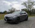 Alfa Romeo Stelvio 2.9 Bi-Turbo Q4 Quadrifoglio AT8 Gris - thumbnail 3