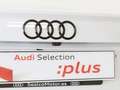 Audi Q3 Sportback 35 TDI Black line S tronic Blanco - thumbnail 17