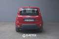 Fiat Panda 1.0 Firefly Hybrid 70CV Rosso - thumbnail 4