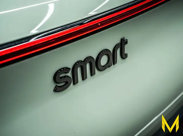 Smart #3 view 11