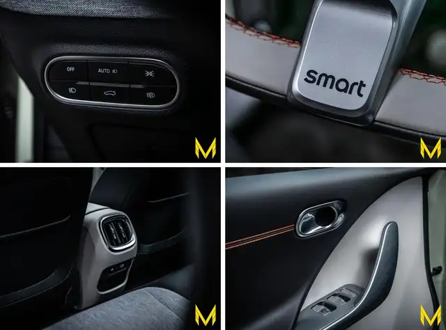 Smart #3 view 19