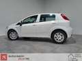 Fiat Punto 1.3 70KW 95CV MULTIJET SS Blanc - thumbnail 12