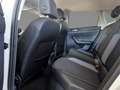 Volkswagen Polo Goal 1,0 l TSI 5-Gang *Rear View* Grau - thumbnail 7