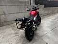 Honda CBX 500 Rosso - thumbnail 3