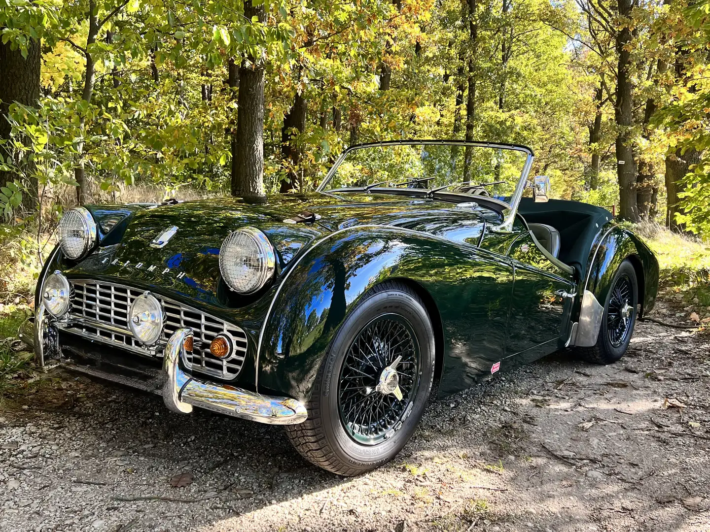 Triumph TR3 TR3A Grün - 1