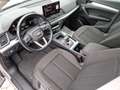 Audi Q5 40 TDI quattro S tronic Business Advanced Argento - thumbnail 6