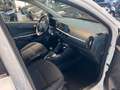 Kia Picanto Spirit Weiß - thumbnail 11