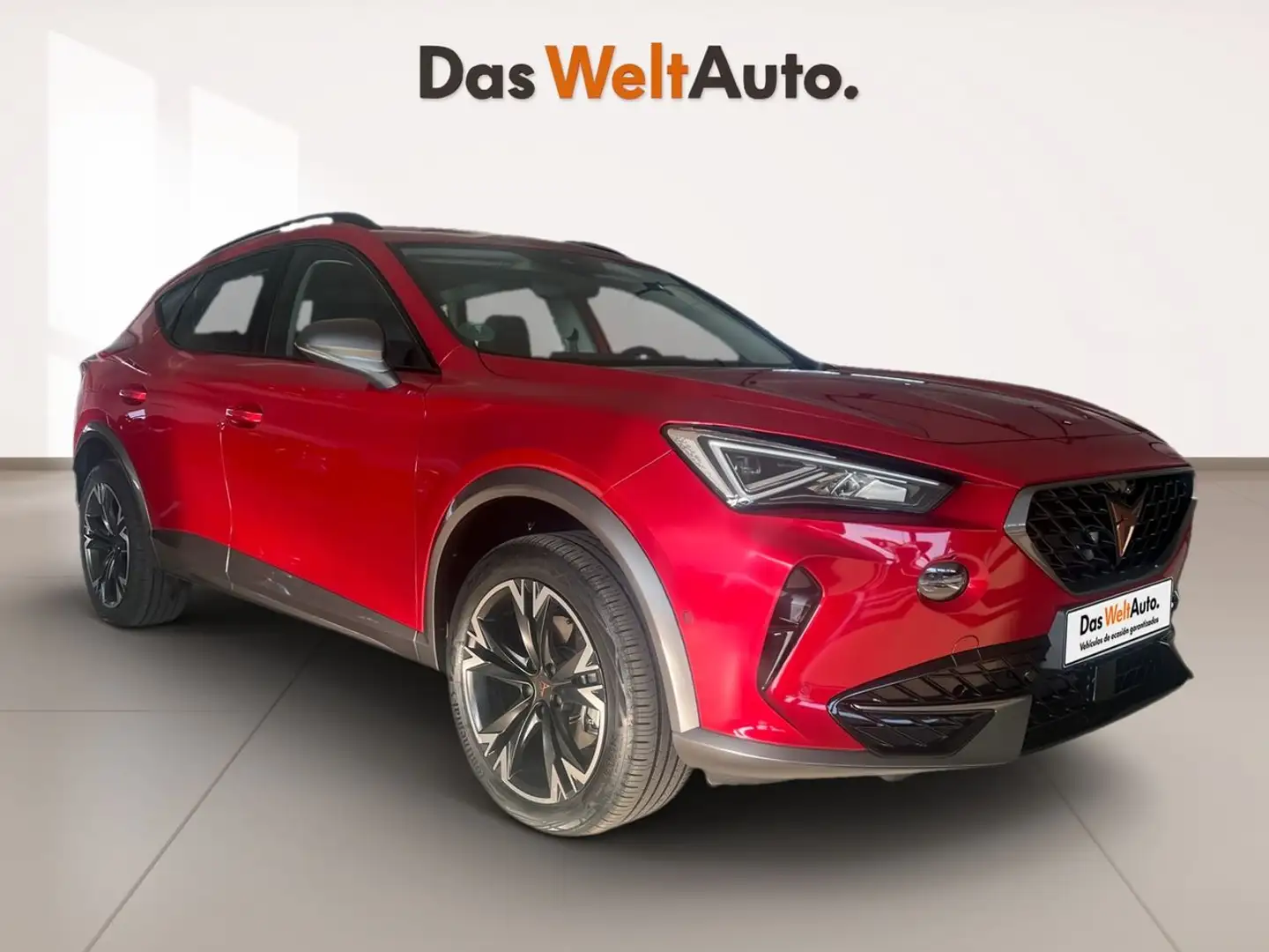 CUPRA Formentor 2.0 TSI 190 DSG 4Drive Rojo - 1