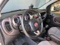 Fiat Panda Cross 1.3 MJT 95 CV S&S 4x4 Bianco - thumbnail 15