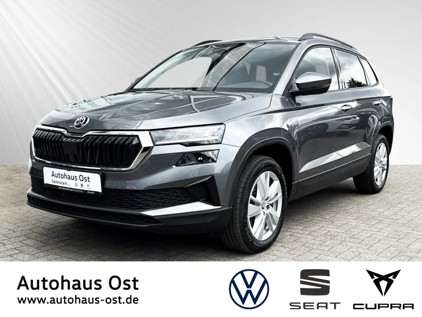 Skoda Karoq Selection 1,5 TSI Aut. Klima Einparkhilfe Grau - 1