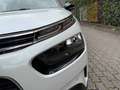 Citroen C4 Cactus 1.2 puretech Shine PREZZO REALE TELECAMERA CARPLAY Bianco - thumbnail 10
