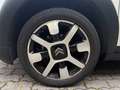 Citroen C4 Cactus 1.2 puretech Shine PREZZO REALE TELECAMERA CARPLAY Bianco - thumbnail 11