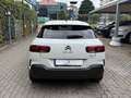 Citroen C4 Cactus 1.2 puretech Shine PREZZO REALE TELECAMERA CARPLAY Bianco - thumbnail 6