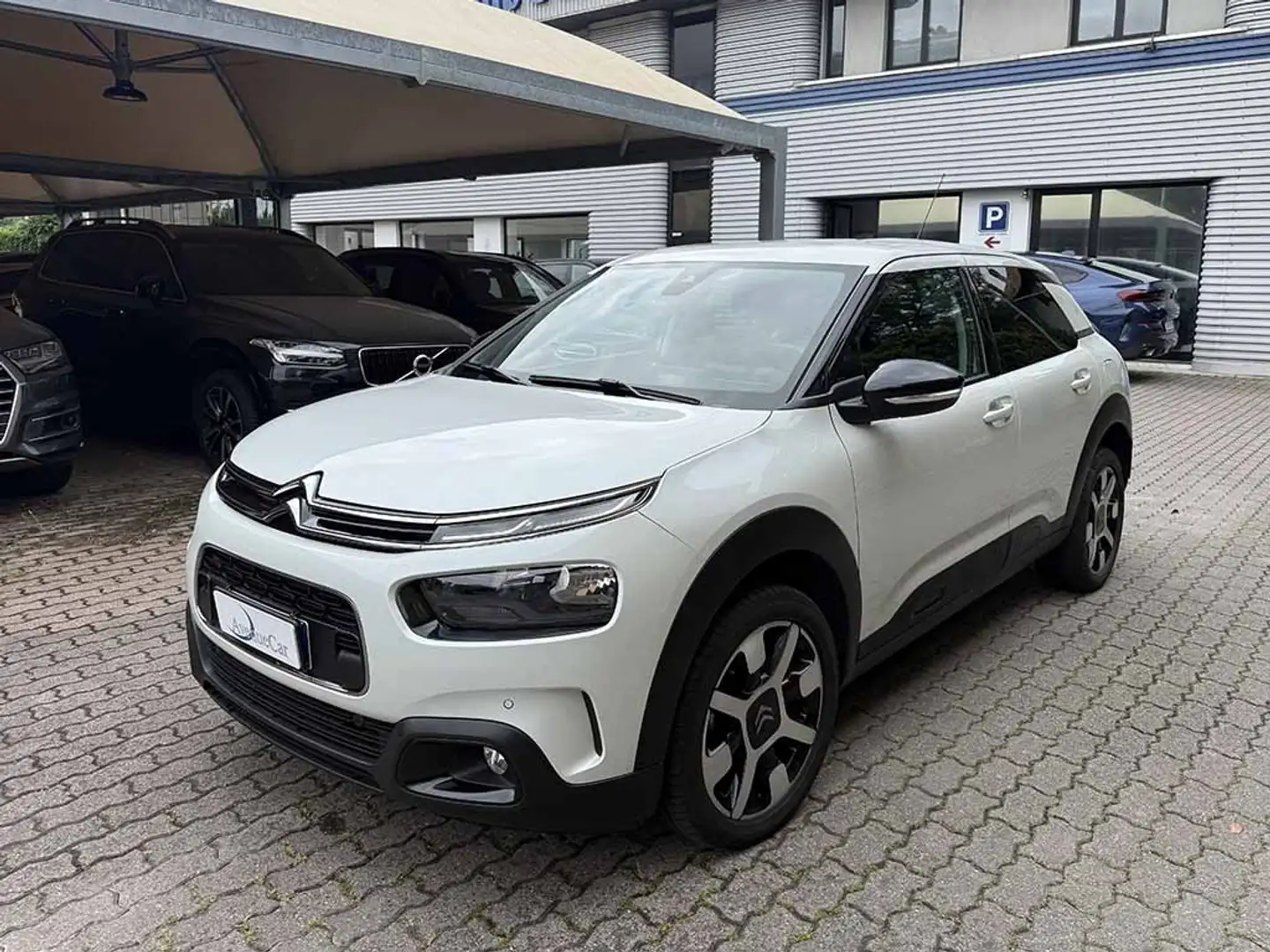Citroen C4 Cactus 1.2 puretech Shine PREZZO REALE TELECAMERA CARPLAY Bianco - 1