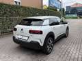 Citroen C4 Cactus 1.2 puretech Shine PREZZO REALE TELECAMERA CARPLAY Bianco - thumbnail 5