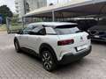 Citroen C4 Cactus 1.2 puretech Shine PREZZO REALE TELECAMERA CARPLAY Bianco - thumbnail 7