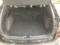 Ford Kuga 2,0 EcoBlue Hybrid Titanium X Schwarz - thumbnail 6