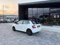 Skoda Fabia 1.0 TSI Twin Color ANCHE PER NEOPATENTATI Bianco - thumbnail 9