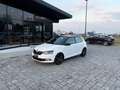 Skoda Fabia 1.0 TSI Twin Color ANCHE PER NEOPATENTATI Bianco - thumbnail 2
