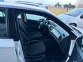 Skoda Fabia 1.0 TSI Twin Color ANCHE PER NEOPATENTATI Bianco - thumbnail 13