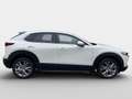 Mazda CX-30 e-Skyactive G140 Exclusive-Line Weiß - thumbnail 3