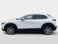 Mazda CX-30 e-Skyactive G140 Exclusive-Line Weiß - thumbnail 6