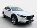 Mazda CX-30 e-Skyactive G140 Exclusive-Line Weiß - thumbnail 2