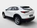 Mazda CX-30 e-Skyactive G140 Exclusive-Line Weiß - thumbnail 5