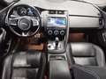 Jaguar E-Pace D180 AWD R-Dynamic Navi LED Pano RFK Shz Grau - thumbnail 5