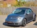 Volkswagen New Beetle Cabriolet 1.4 Gris - thumbnail 4