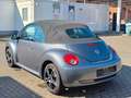 Volkswagen New Beetle Cabriolet 1.4 Gris - thumbnail 9
