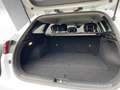 Kia Ceed SW / cee'd SW Sportswagon Vision 1.0T (NAV) Kamera Blanc - thumbnail 12