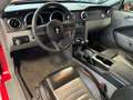 Ford Mustang Roush  V6 Automatik Leder Klima Rojo - thumbnail 3