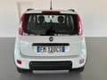 Fiat Panda 4x4 1.3 mjt S Diesel Weiß - thumbnail 5