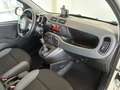Fiat Panda 4x4 1.3 mjt S Diesel Weiß - thumbnail 15