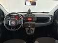 Fiat Panda 4x4 1.3 mjt S Diesel Weiß - thumbnail 14