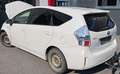 Toyota Prius+ Prius+ (Hybrid) Blanco - thumbnail 7